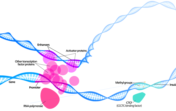 cycle8